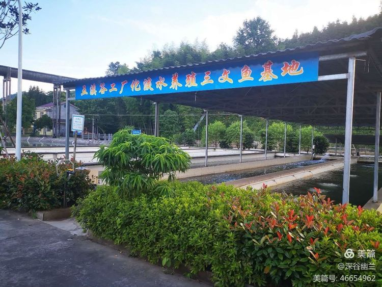 常德市度假村,鼎城区生态农庄,乡村旅游,农家乐,冷水鱼养殖 常德市度假村,鼎城区生态农庄,乡村旅游,农家乐,冷水鱼养殖