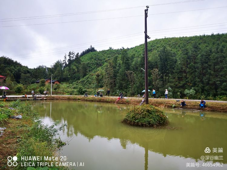 常德市度假村,鼎城区生态农庄,乡村旅游,农家乐,冷水鱼养殖 常德市度假村,鼎城区生态农庄,乡村旅游,农家乐,冷水鱼养殖