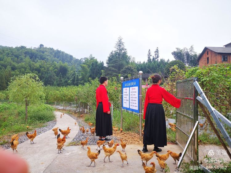 常德市度假村,鼎城区生态农庄,乡村旅游,农家乐,冷水鱼养殖 常德市度假村,鼎城区生态农庄,乡村旅游,农家乐,冷水鱼养殖