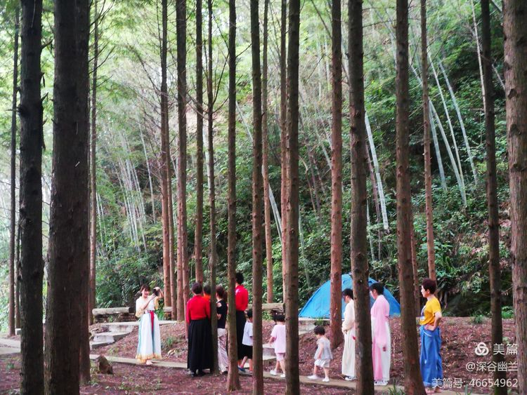 常德市度假村,鼎城区生态农庄,乡村旅游,农家乐,冷水鱼养殖 常德市度假村,鼎城区生态农庄,乡村旅游,农家乐,冷水鱼养殖